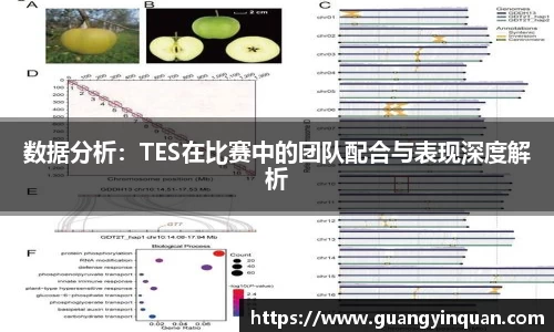 数据分析：TES在比赛中的团队配合与表现深度解析