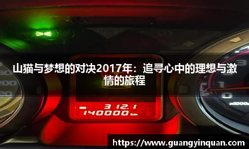 山猫与梦想的对决2017年：追寻心中的理想与激情的旅程